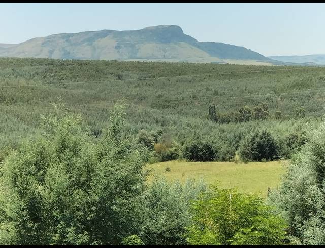 FARM SOLD IN NEWCASTLE RURAL